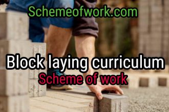 Block Laying Curriculum