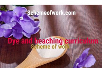 Dye and Bleaching Curriculum
