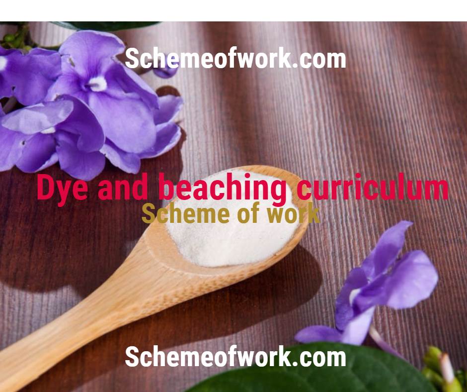Dye and Bleaching Curriculum