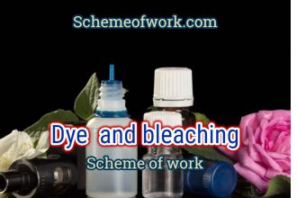 Dye and Bleaching Scheme of work