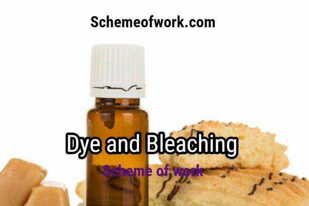 Dye and Bleaching scheme of work 2