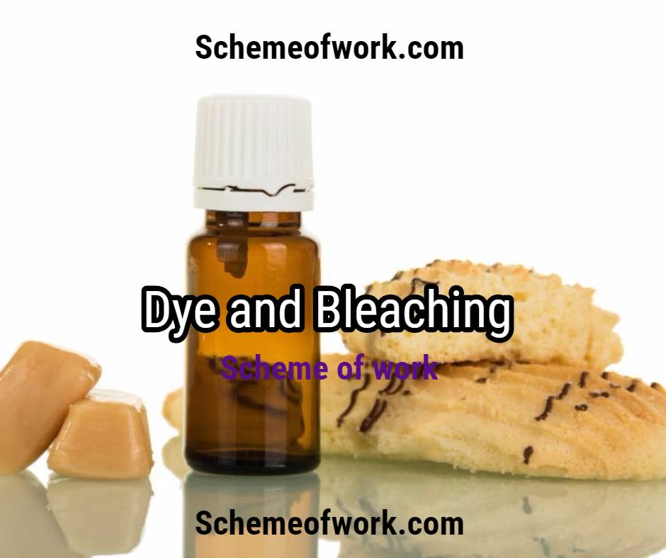 Dye and Bleaching scheme of work 2