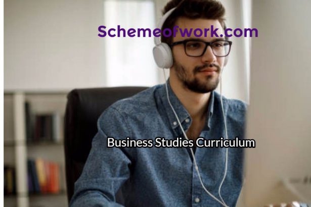 Business Studies Curriculum