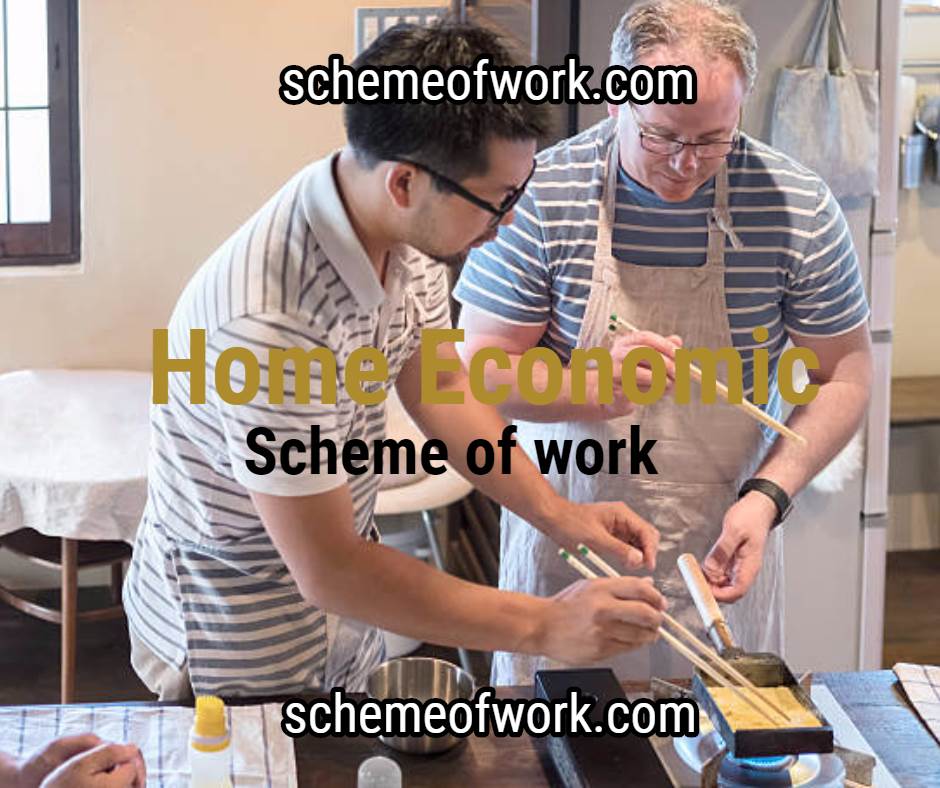 Home Economics scheme of work 2