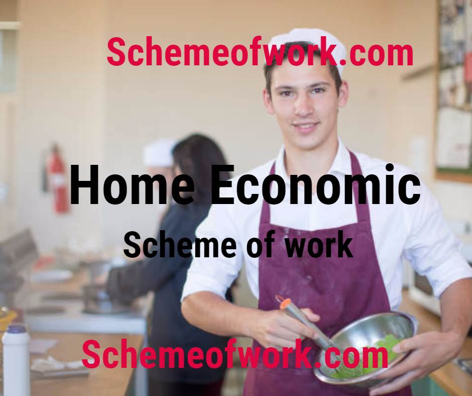 Home Economic scheme of work