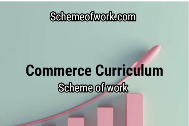 Commerce Curriculum