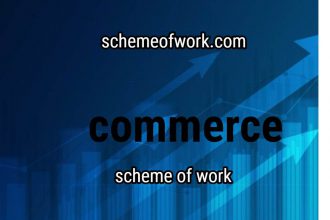 Commerce Scheme of work 2
