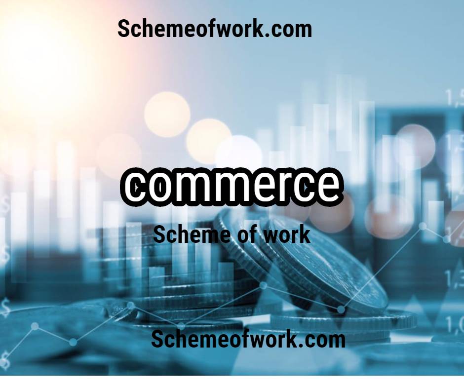 Commerce Scheme of work