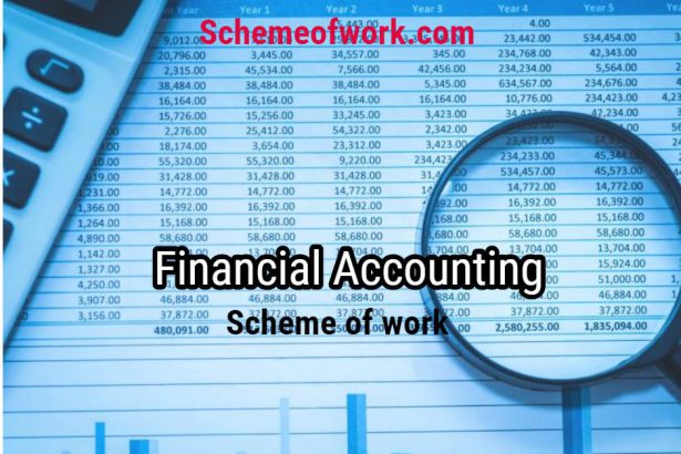 Financial Accounting scheme of work 2
