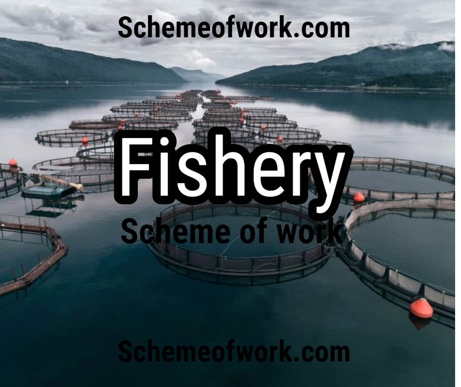 Fishery scheme of work