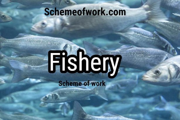 Fishery scheme of work 2
