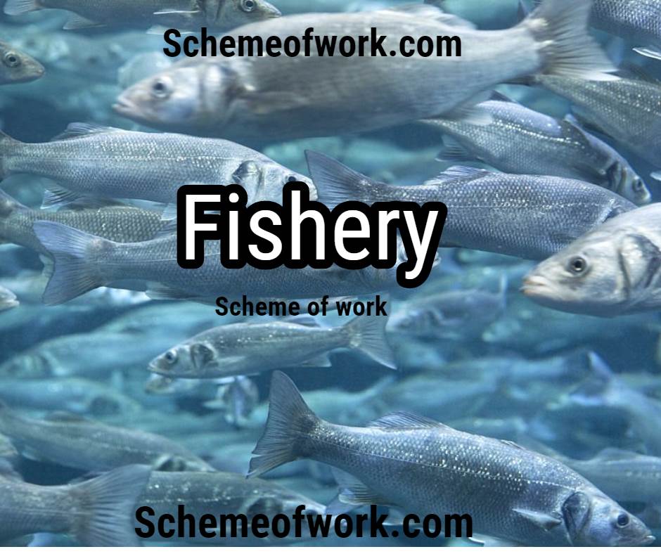 Fishery scheme of work 2