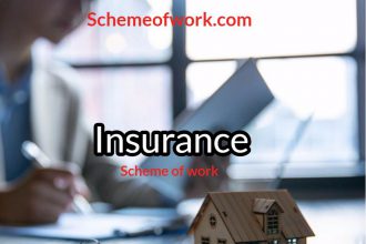 Insurance Scheme of work 2