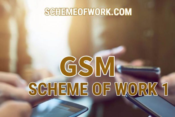 Gsm Scheme of work 1