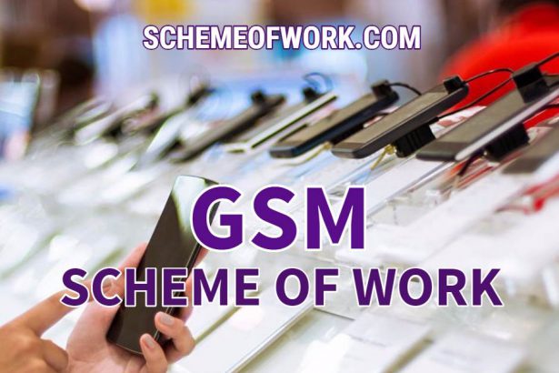 Gsm Scheme of work