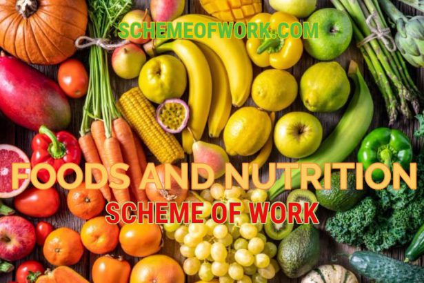 Foods & Nutrition Scheme of work
